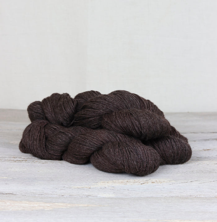Sarsaparilla