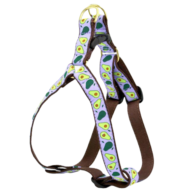 AVOCADO-DOG-HARNESS