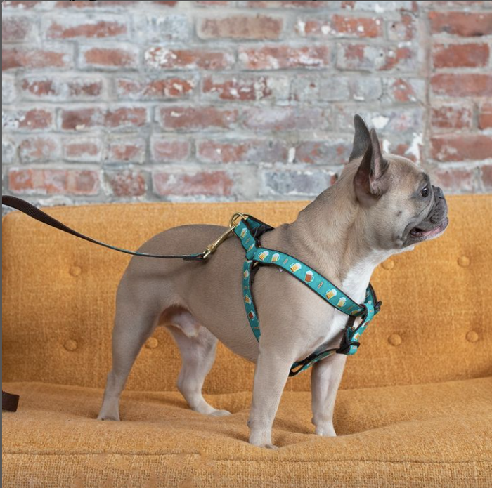 BEER-DOG-HARNESS