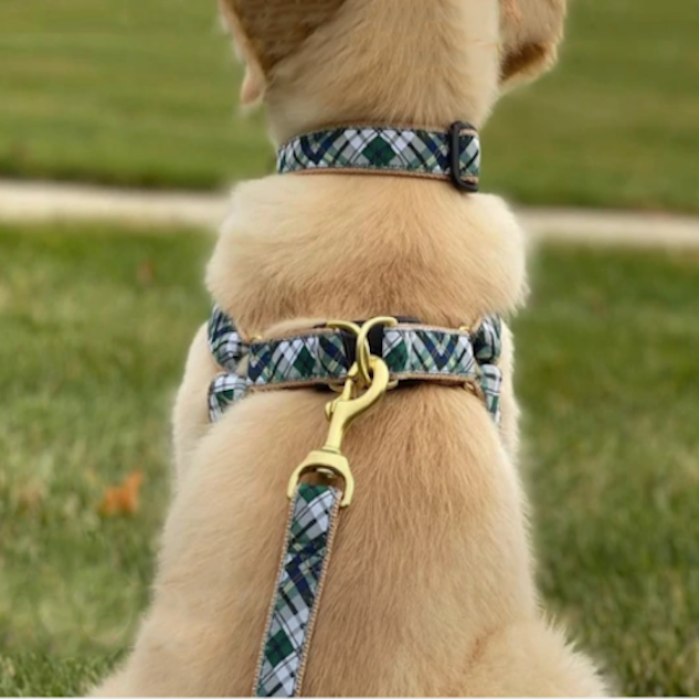 GORDON-PLAID-DOG-COLLAR-LEASH-HARNESS