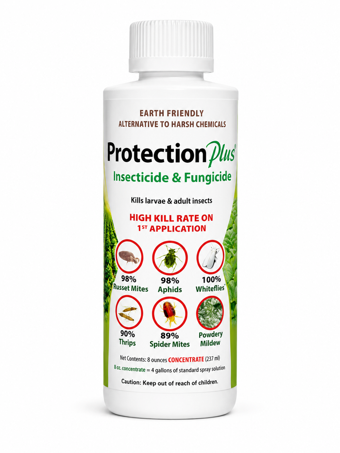 Protection Plus Insecticide Fungicide 8 oz