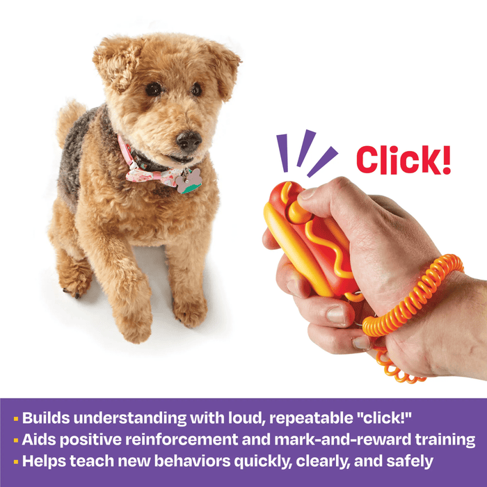 Hand holding plastic hot dog in a bun with yellow mustard on a keyring with a yellow button and a orange coil bracelet attached. Red text saying 'Click!' at the hand in front of a brown terrier type dog, wearing a pink collar. Bottom of picture is a purple banner with white text saying 'Builds understanding with loud, repeatable 'click'. Aids positive reinforcement and mark-and-reward training. Helps teach new behaviours quickly, clearly and safely.'
