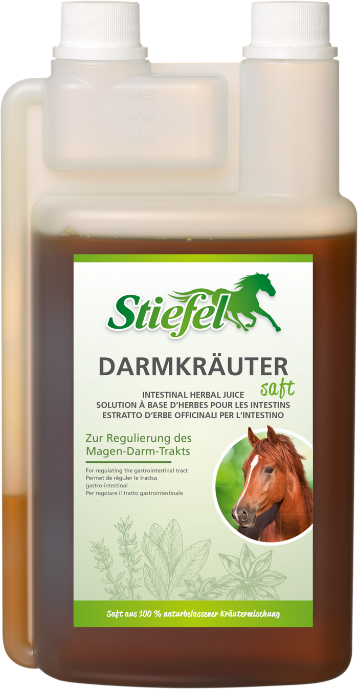 Stiefel Intestinal Herbal Liquid, 1 l