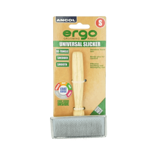 White background with a small wooden handled Ergo Slicker Brush with metal teeth, attached to a cardboard backing.