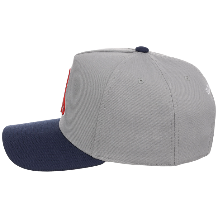 Boston Red Sox Mitchell & Ness MLB 'Era Flip' Heritage Series Pro Pinch - Grey/Navy