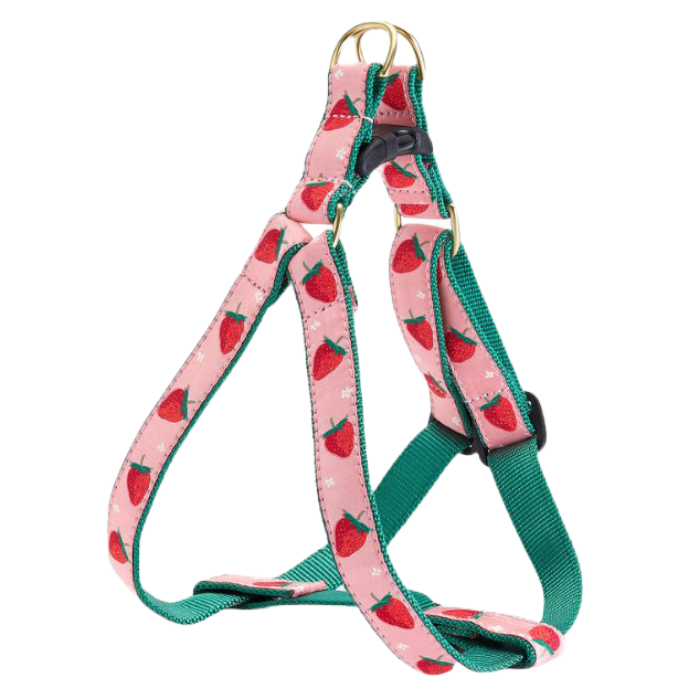 STRAWBERRY-FIELDS-DOG-HARNESS