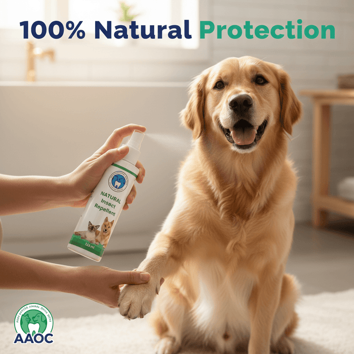 Using natural insect repellent on dogs