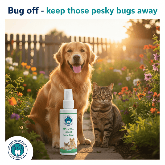Insect Repellent