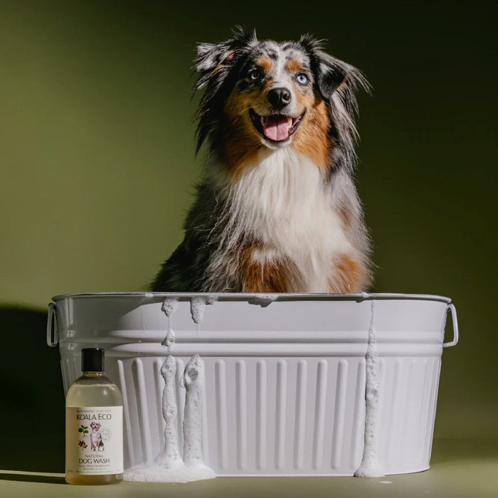 KOALA ECO Dog Wash Marjoram & Rosalina Essential Oil - 500ml - L'Organic