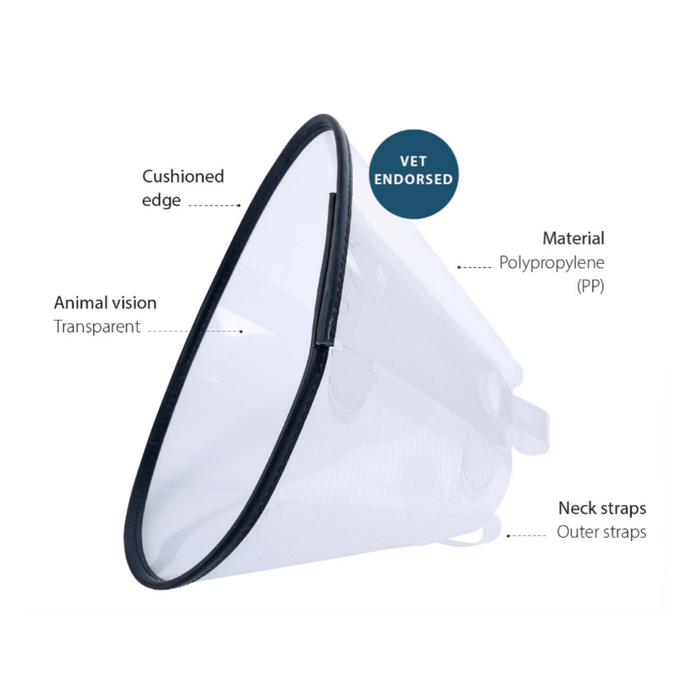 White background with a transparent plastic Elizabethan style recovery collar with details of features around it.
