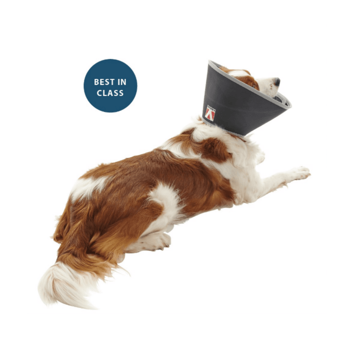 White background a brown and white collie dog wearing a black Elizabethan style foam recovery collar with a grey rubber trim. A blue circle is next to the dog with white text 'Best in Class'.