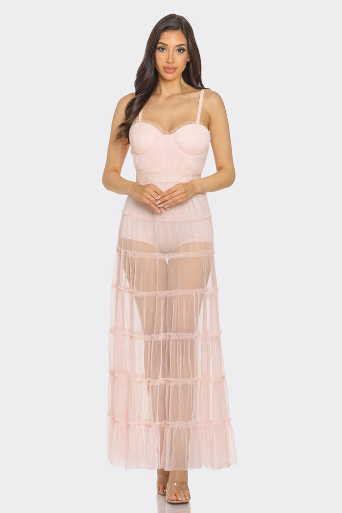 Pleated Organza Sweetheart Sheer Maxi Dress