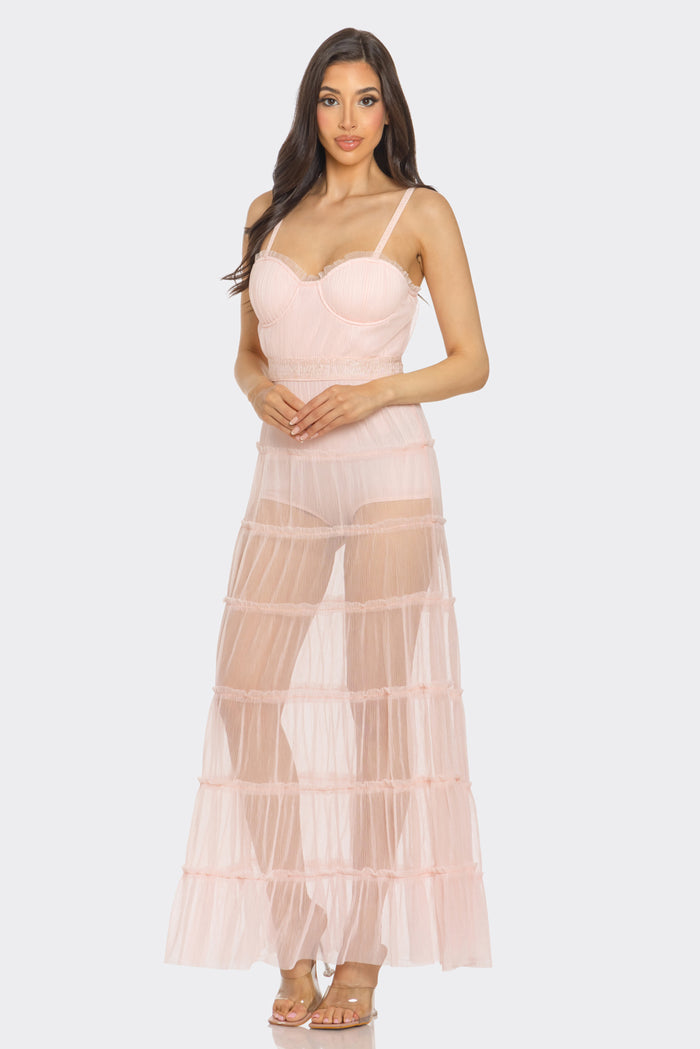 Pleated Organza Sweetheart Sheer Maxi Dress