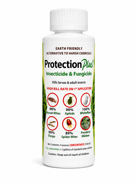 Protection Plus Insecticide Fungicide 4 oz