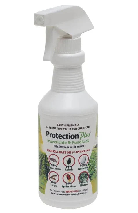Protection Plus Insecticide Fungicide RTU 16 Oz
