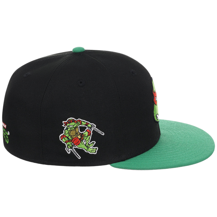 SATURDAY MORNING CARTOONS: TEENAGE MUTANT NINJA TURTLES - Raphael Turtles Fitted