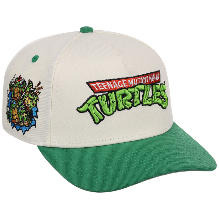 SATURDAY MORNING CARTOONS: TEENAGE MUTANT NINJA TURTLES - Turtles A-Frame