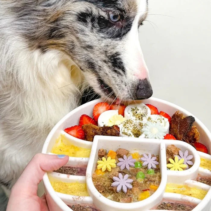 slow-feeder-dog-bowl-java