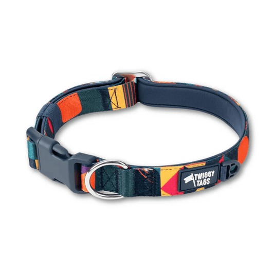 White background with a multi-coloured Twiggy Tags Aurora Adventure dog collar with a clip and d-ring with a tag with text 'Twiggy Tags'.