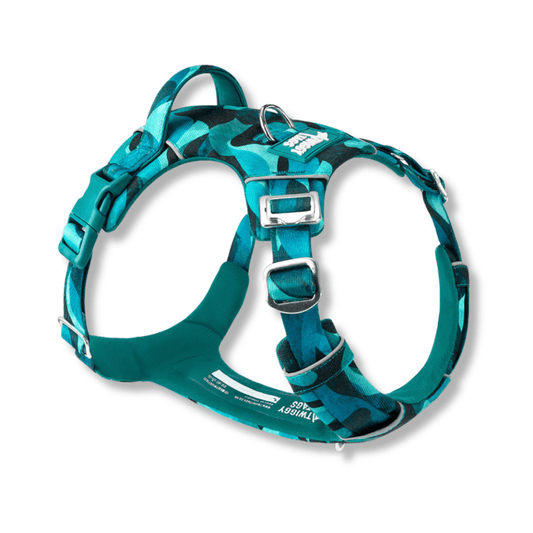 White background with a teal coloured Twiggy Tags Lagoon Adventure dog harness with a clip and d-ring with a tag with text 'Twiggy Tags'.